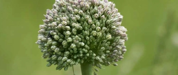 Άρθρο Π. Λαμπροπούλου στο e-Book “ESG & Sustainability: Heaven can wait”