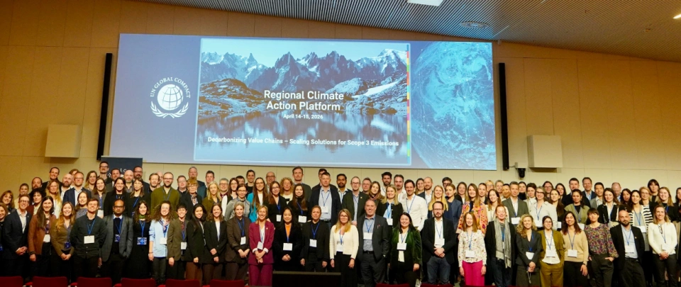 Regional Peer Learning Platforms